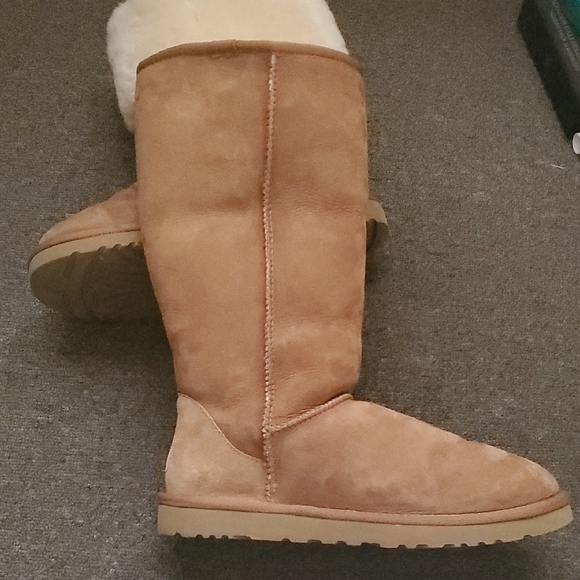 UGG Tan Ankle Boots with Suede Finish and Plush Lining - Picture 2 of 4